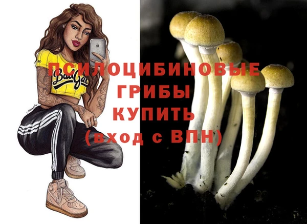 метадон Гусиноозёрск