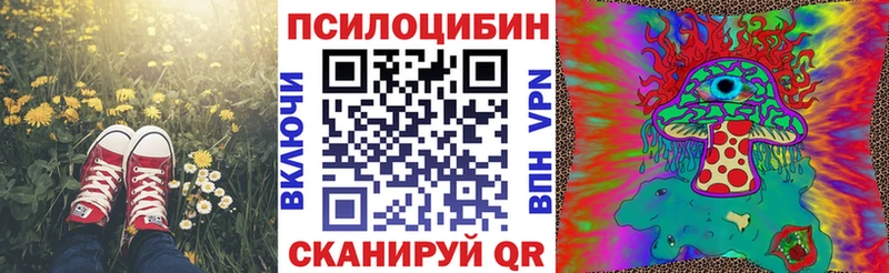 Галлюциногенные грибы прущие грибы  где продают наркотики  Никольск 